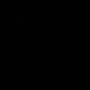 Meet your Posher, Dayoungan